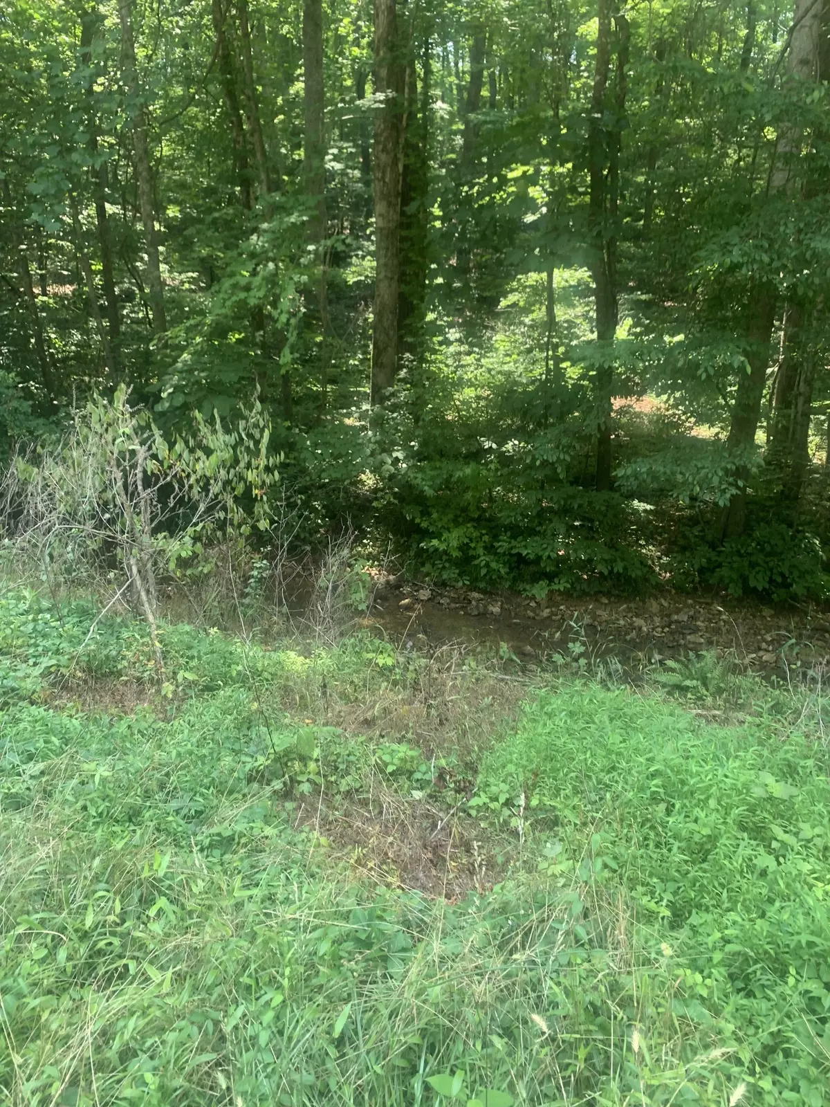 Dickson, TN 37055,5 Dogwood Ct