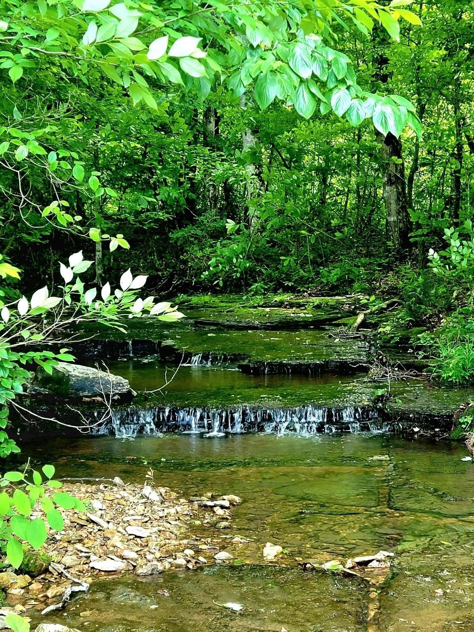 811 Borum Rd, Ashland City, TN 37015