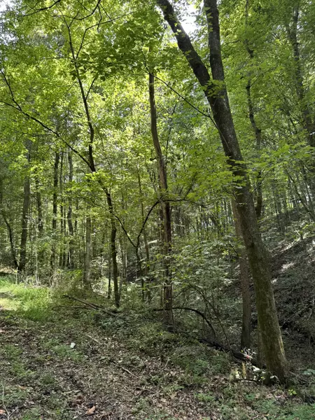 0 Albert Fentress Rd, Greenbrier, TN 37073