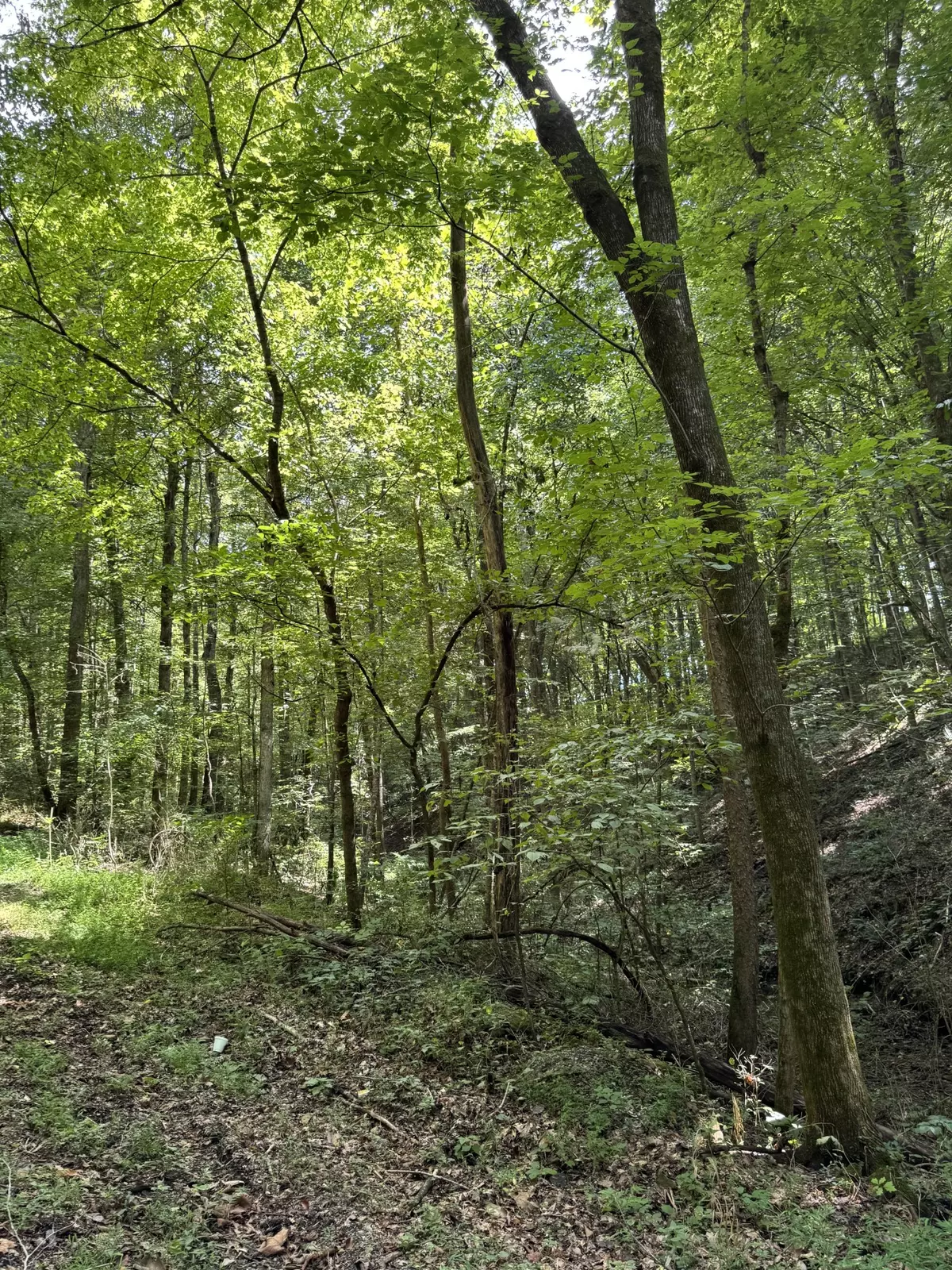 Greenbrier, TN 37073,0 Albert Fentress Rd