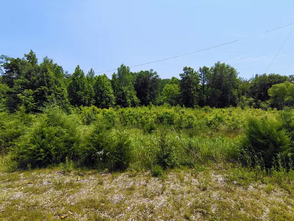 Livingston, TN 38570,419 Rickman Rd