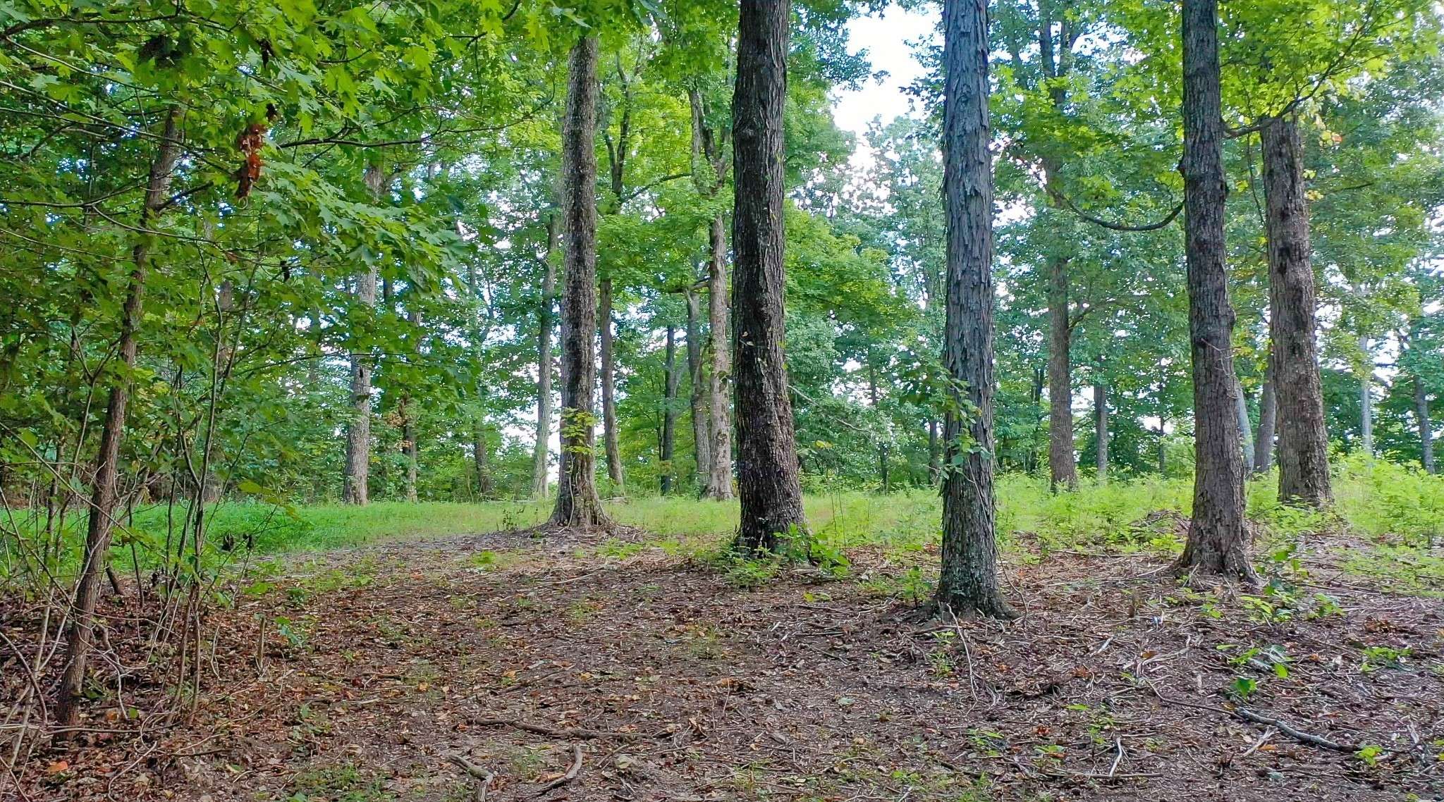 Christiana, TN 37037,7659 Burks Rd