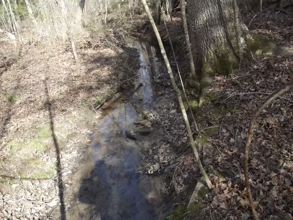 Palmer, TN 37365,0 Keith Brewer Rd