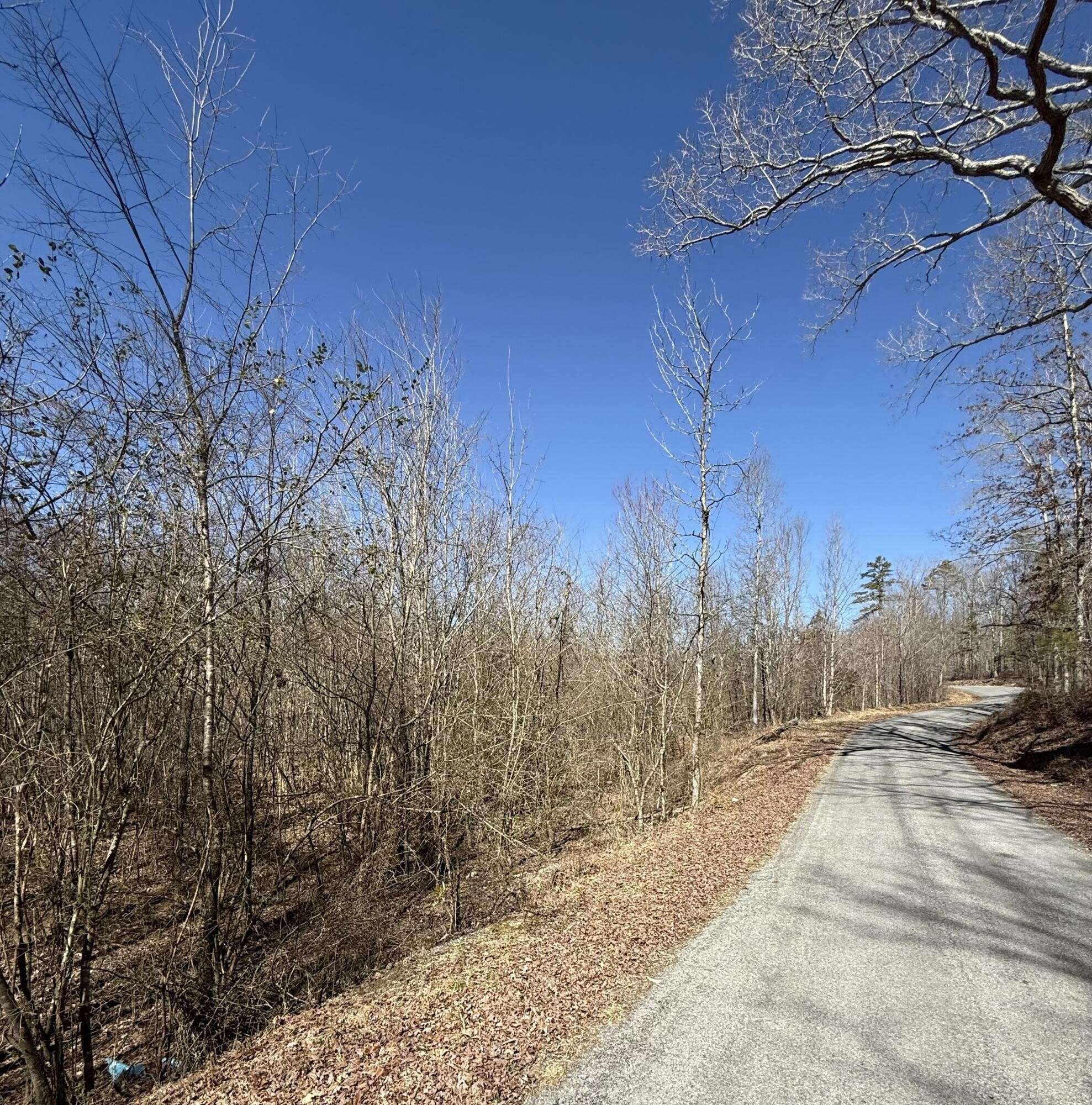 0 Will Allen Road, Decatur, TN 37322