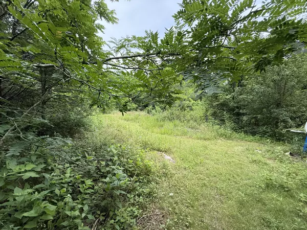 Christiana, TN 37037,8919 Carlton Rd