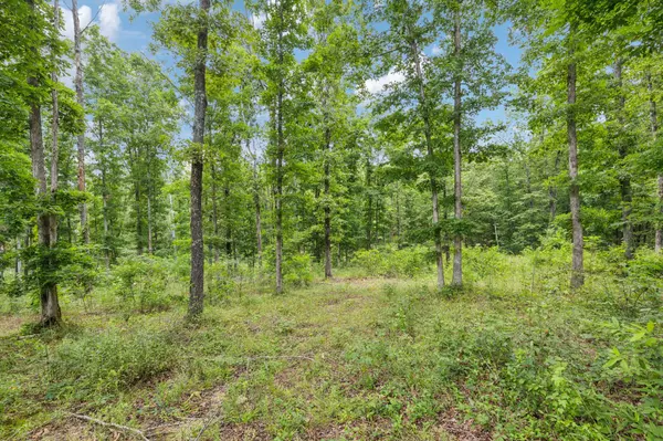 Summertown, TN 38483,177 Quail Hollow Rd