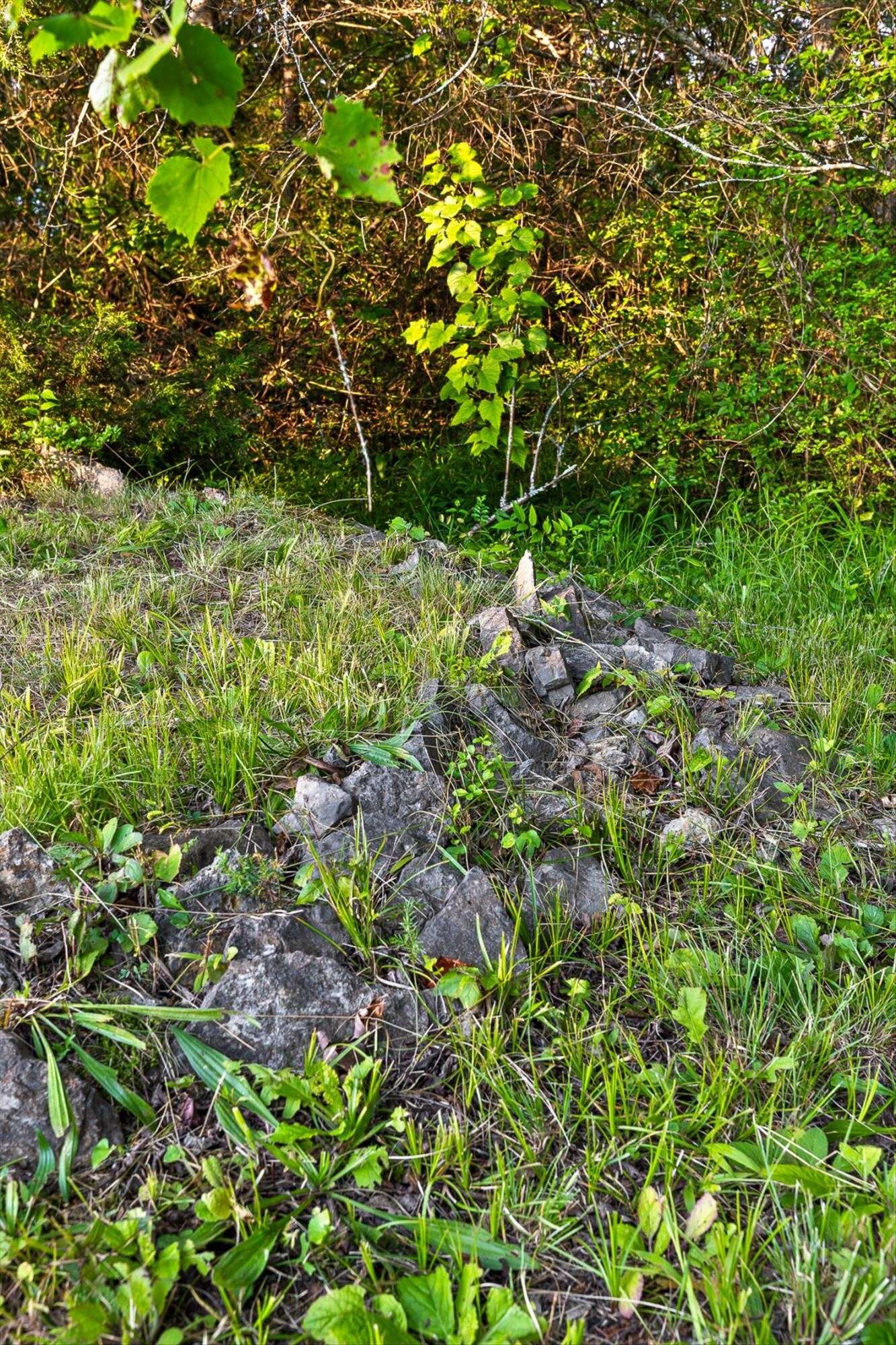 Chickamauga, GA 30707,39 Rock Haven Lane