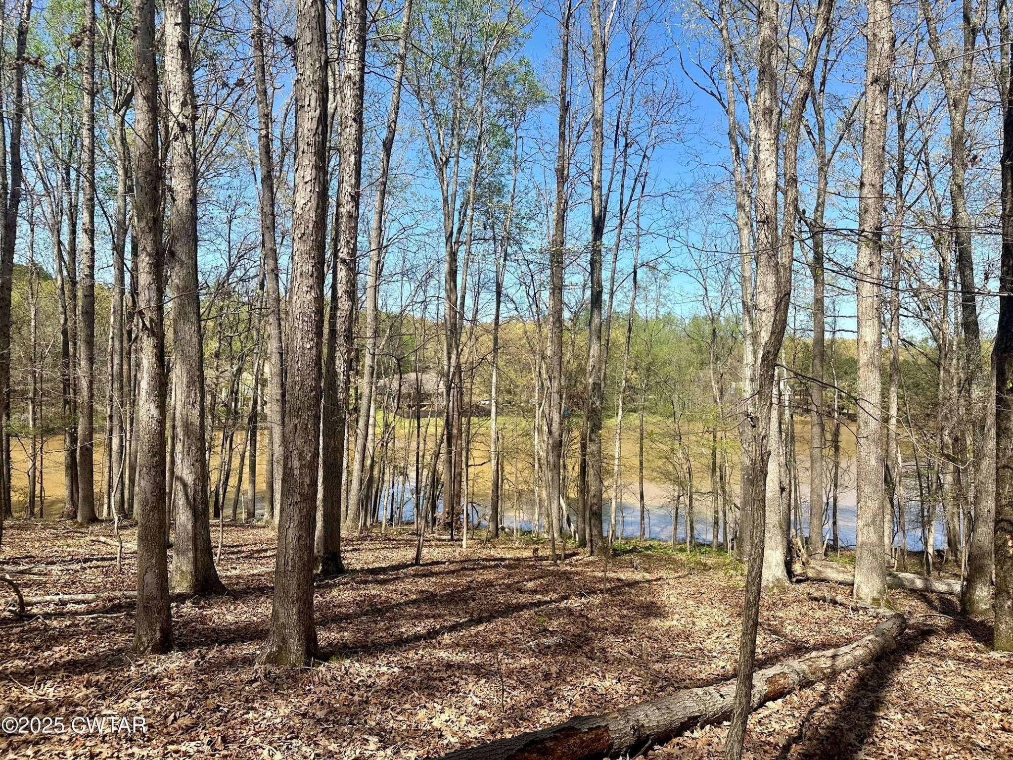 0 Southshore Drive, Jackson, TN 38305