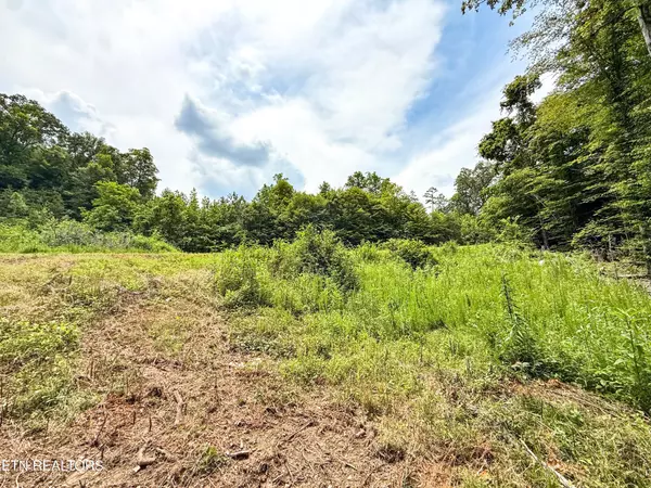 Oak Ridge, TN 37830,117 Cherry Oak Drive