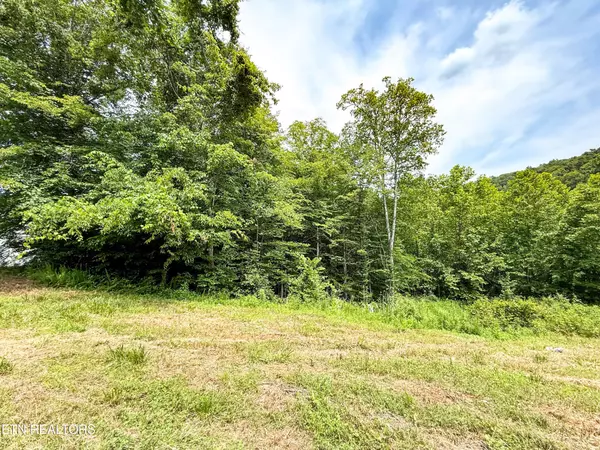 Oak Ridge, TN 37830,117 Cherry Oak Drive