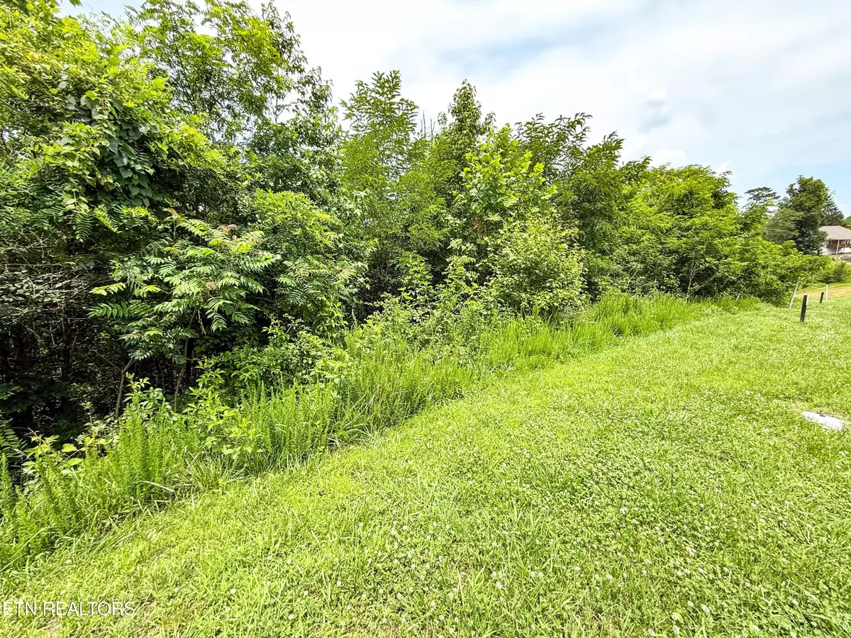 Oak Ridge, TN 37830,120 Willow Oak Drive