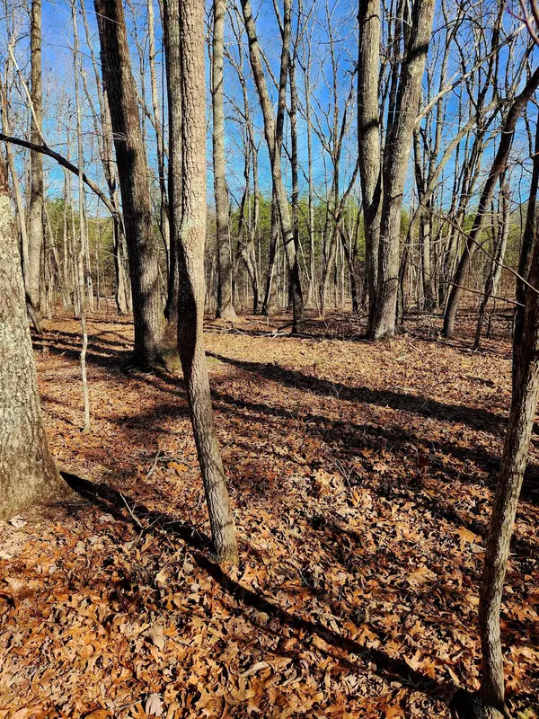 Rising Fawn, GA 30738,157 Highway