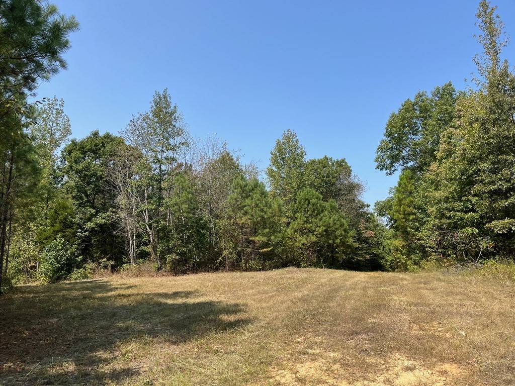 Camden, TN 38320,211 Little House Road