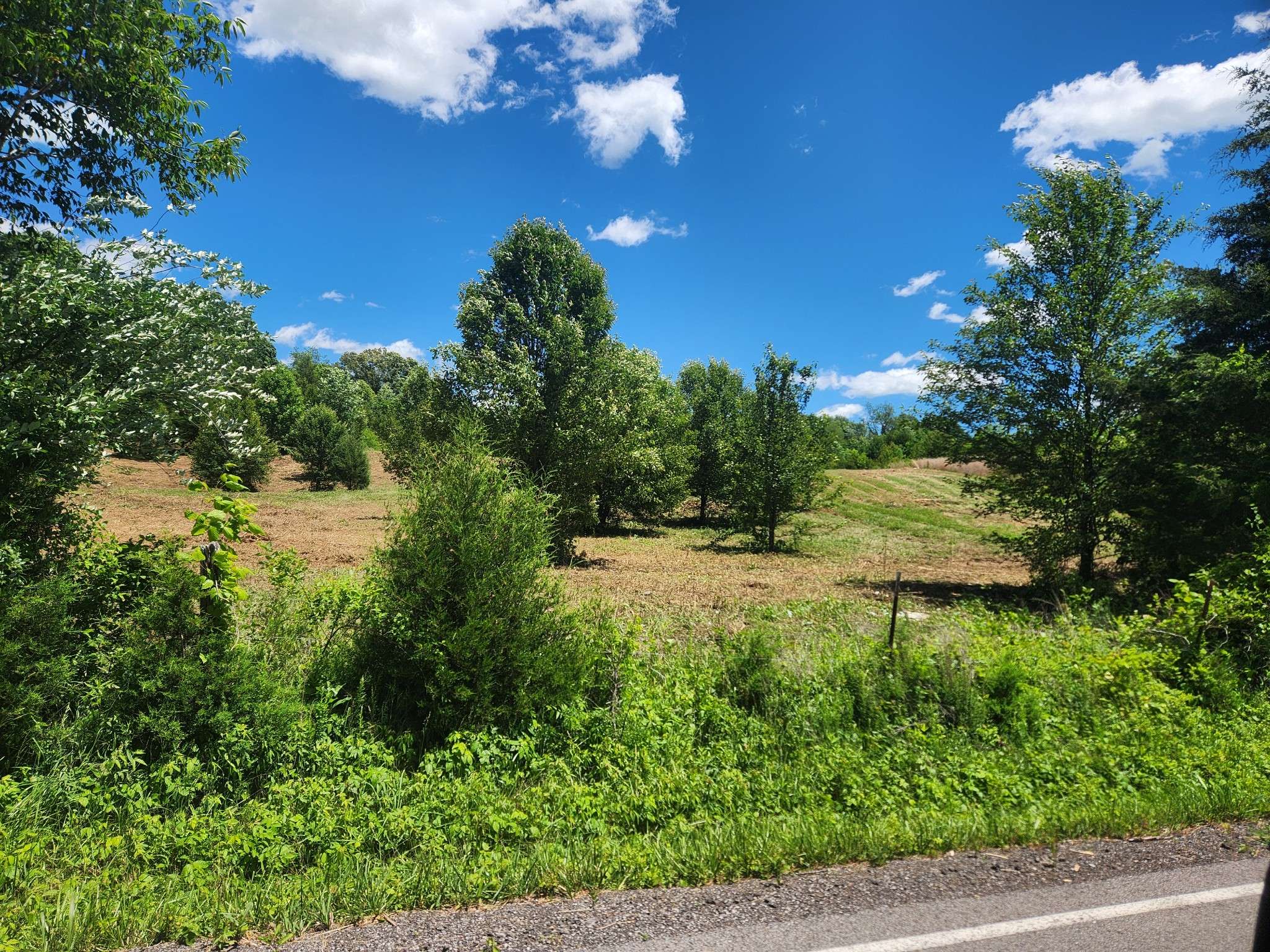 Bethpage, TN 37022,0 Rock Bridge Road