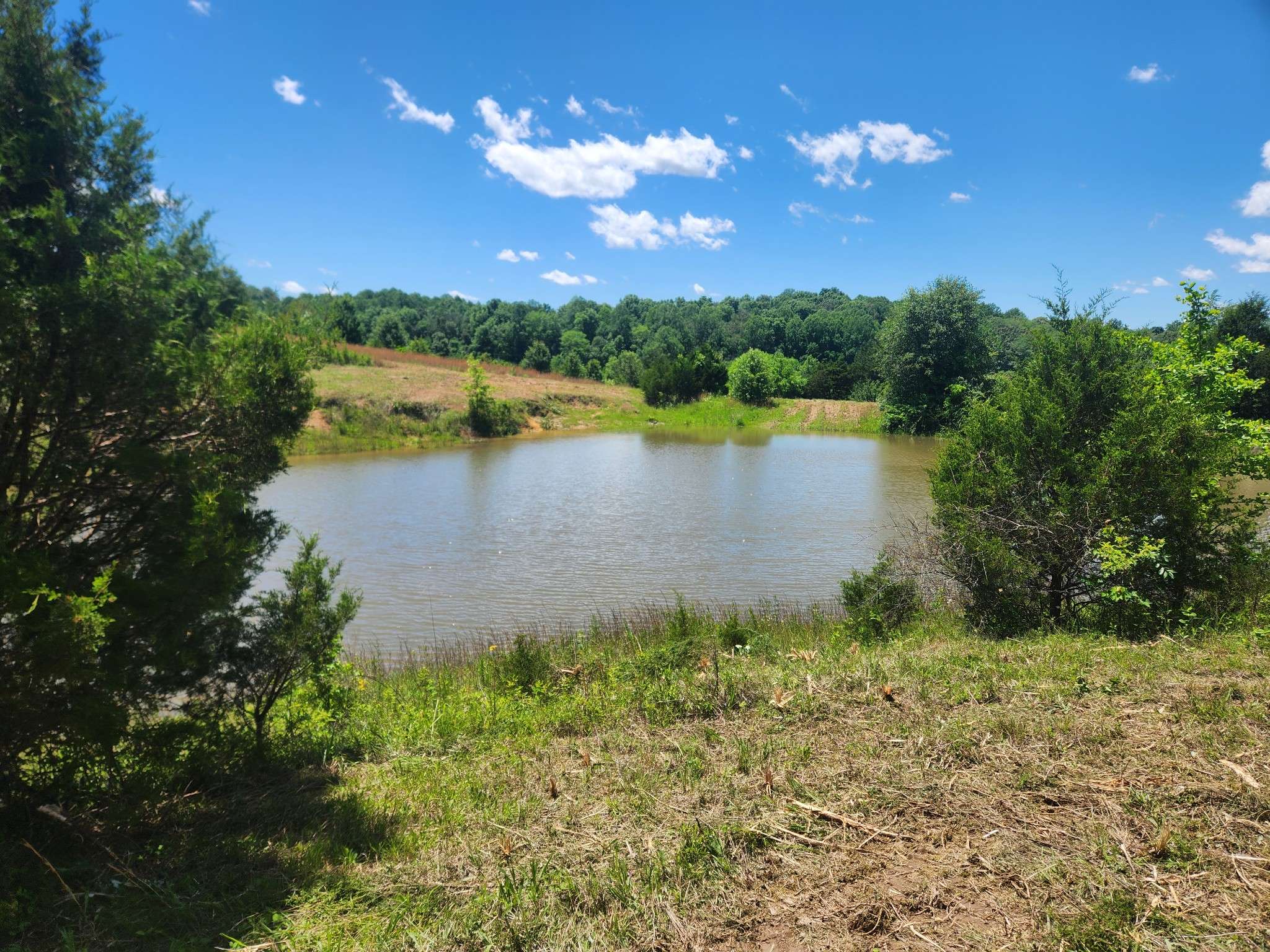 Bethpage, TN 37022,0 Rock Bridge Road