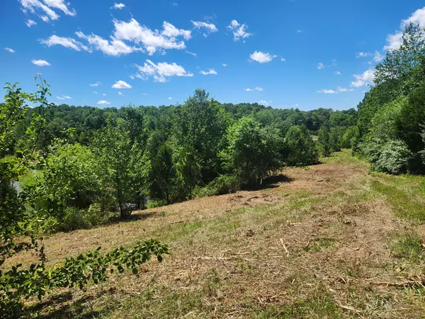 Bethpage, TN 37022,0 Rock Bridge Road