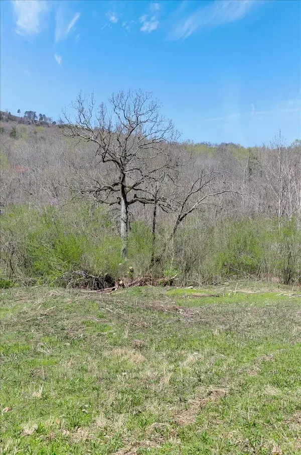 Chattanooga, TN 37415,1009 Reads Lake Road