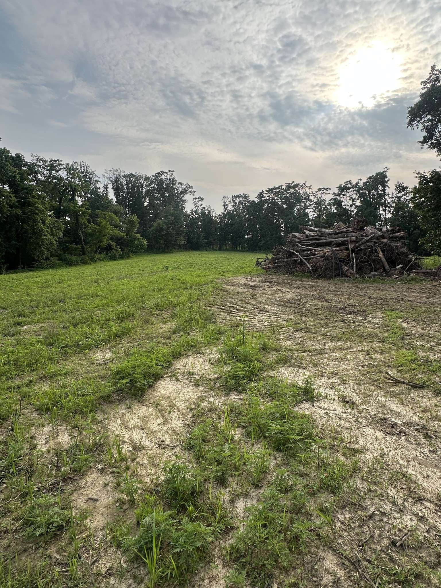 Westmoreland, TN 37186,0 Annie Hollow Rd