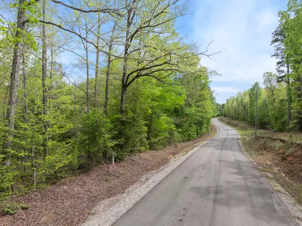 Bethel Springs, TN 38315,0 Curtis Hill Church Rd