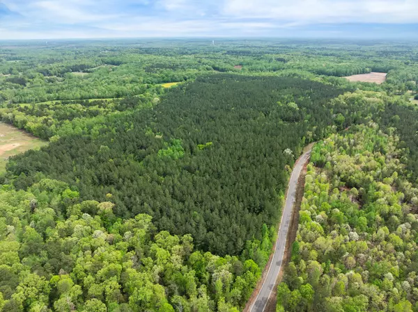 Bethel Springs, TN 38315,0 Curtis Hill Church Rd