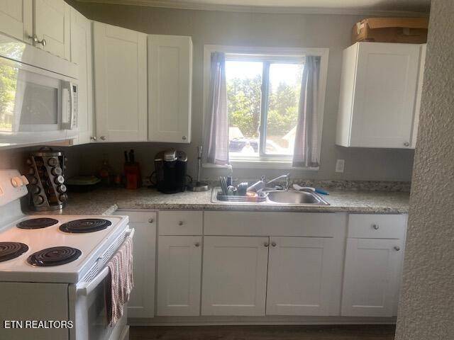 Oak Ridge, TN 37830,178180 Hillside Rd