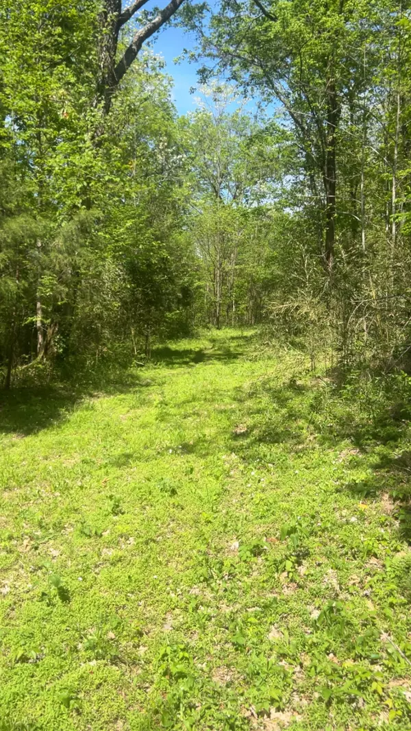 Bethpage, TN 37022,0 Wolf Hill Rd