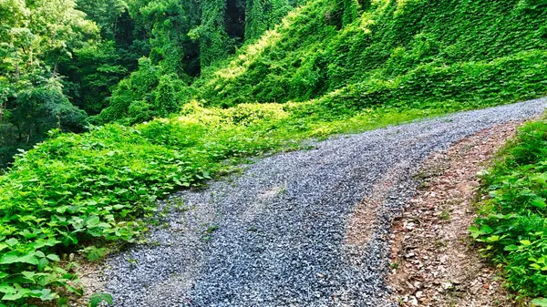 Sevierville, TN 37862,0 Balsam Slopes Road