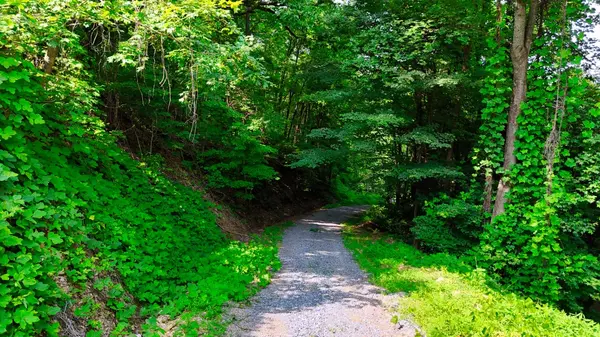 Sevierville, TN 37862,0 Balsam Slopes Road