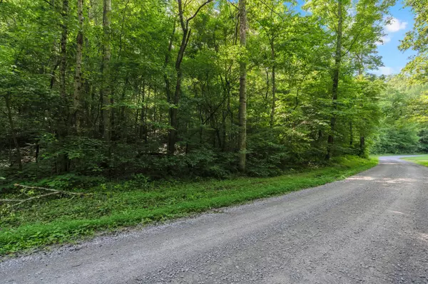 Kelso, TN 37348,0 Teal Hollow Rd