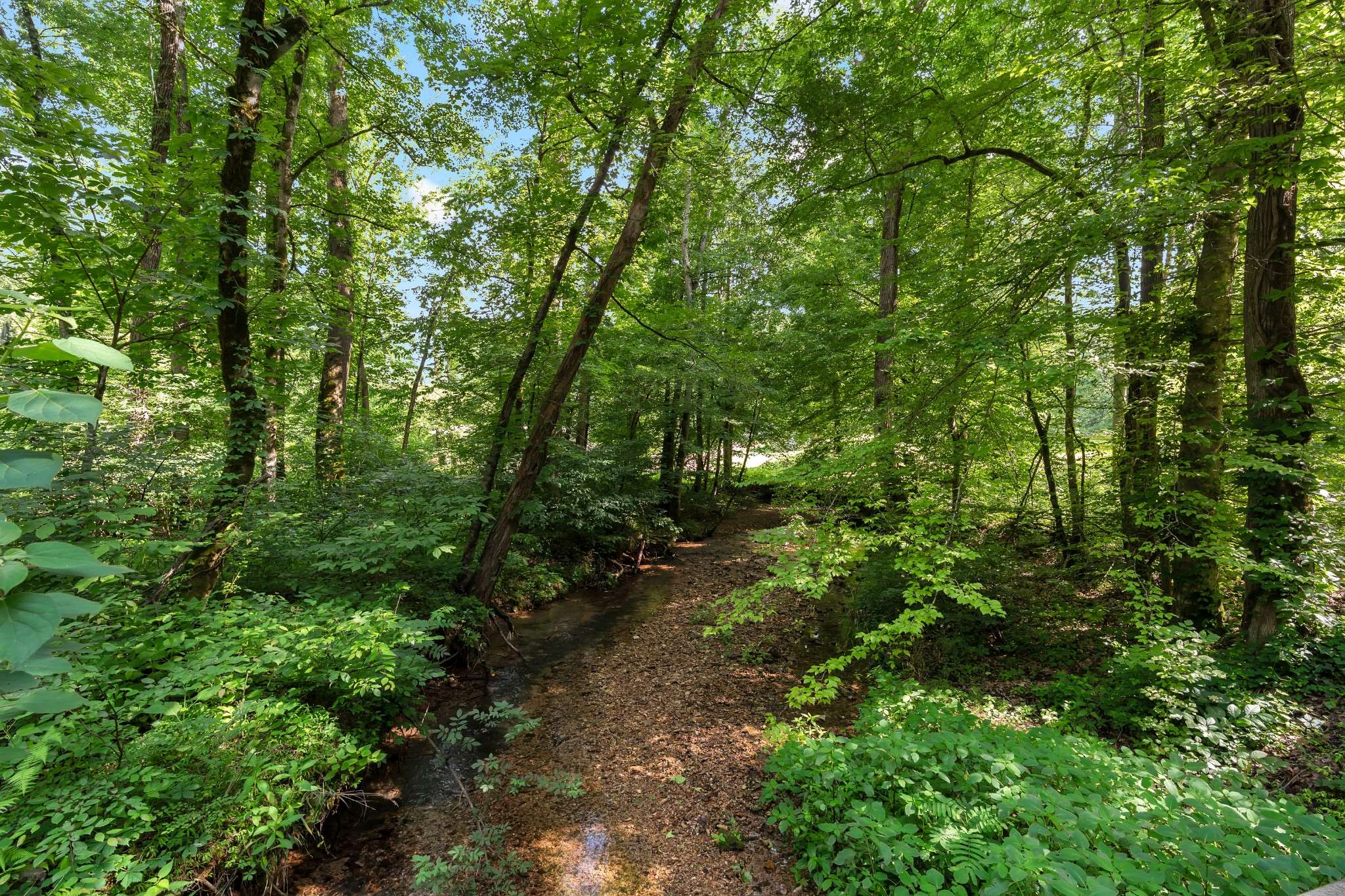 Kelso, TN 37348,0 Teal Hollow Rd
