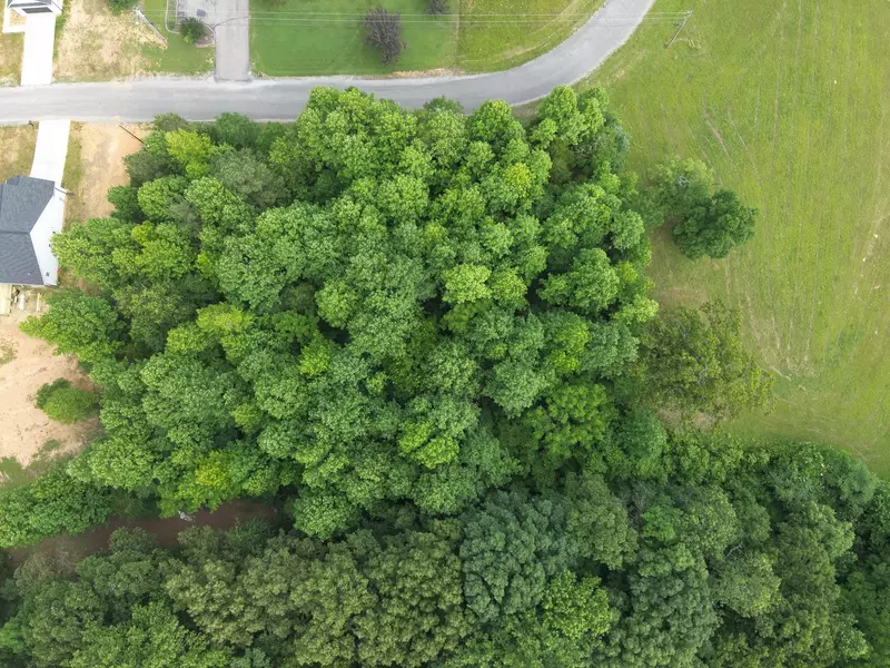 0 Lexie Lane, Lawrenceburg, TN 38464