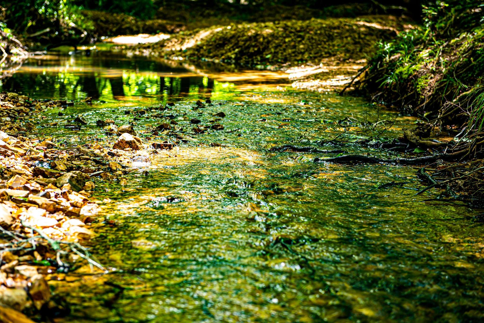Lobelville, TN 37097,47 Overlook Point Rd