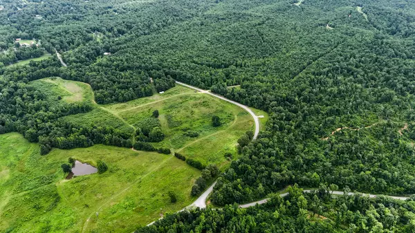 Lobelville, TN 37097,47 Overlook Point Rd