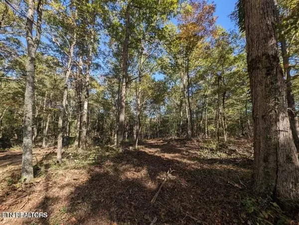 Allardt, TN 38504,239 Sewell Drive