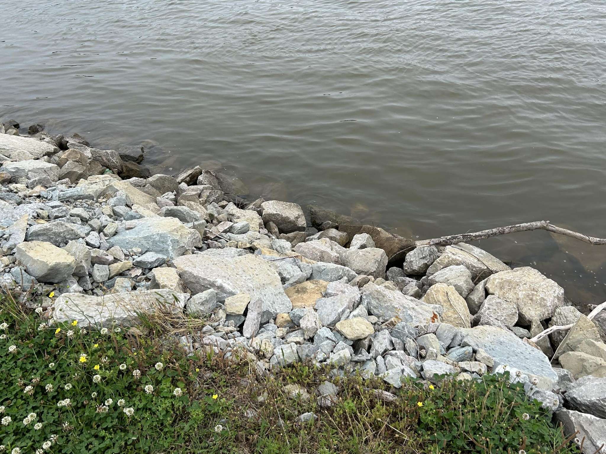 Clifton, TN 38425,1159 River Front Dr