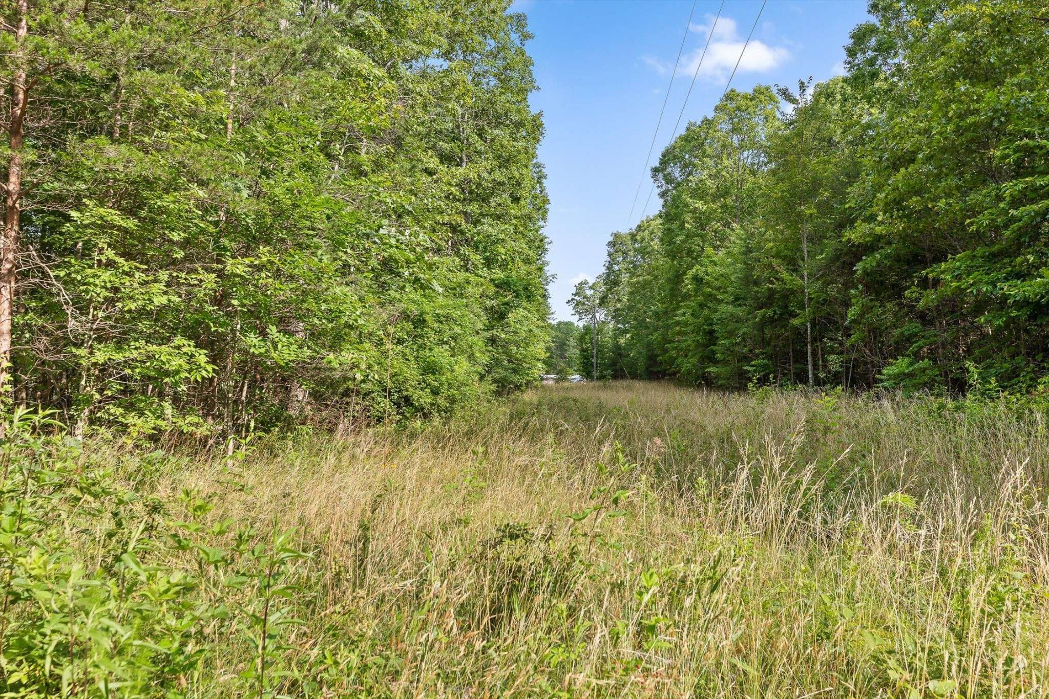 Menlo, GA 30731,0 Griff Johnson Road