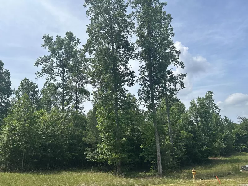 1255 Cherokee Path, Jasper, TN 37347