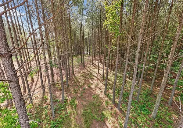 Guild, TN 37340,0 Serenity Way