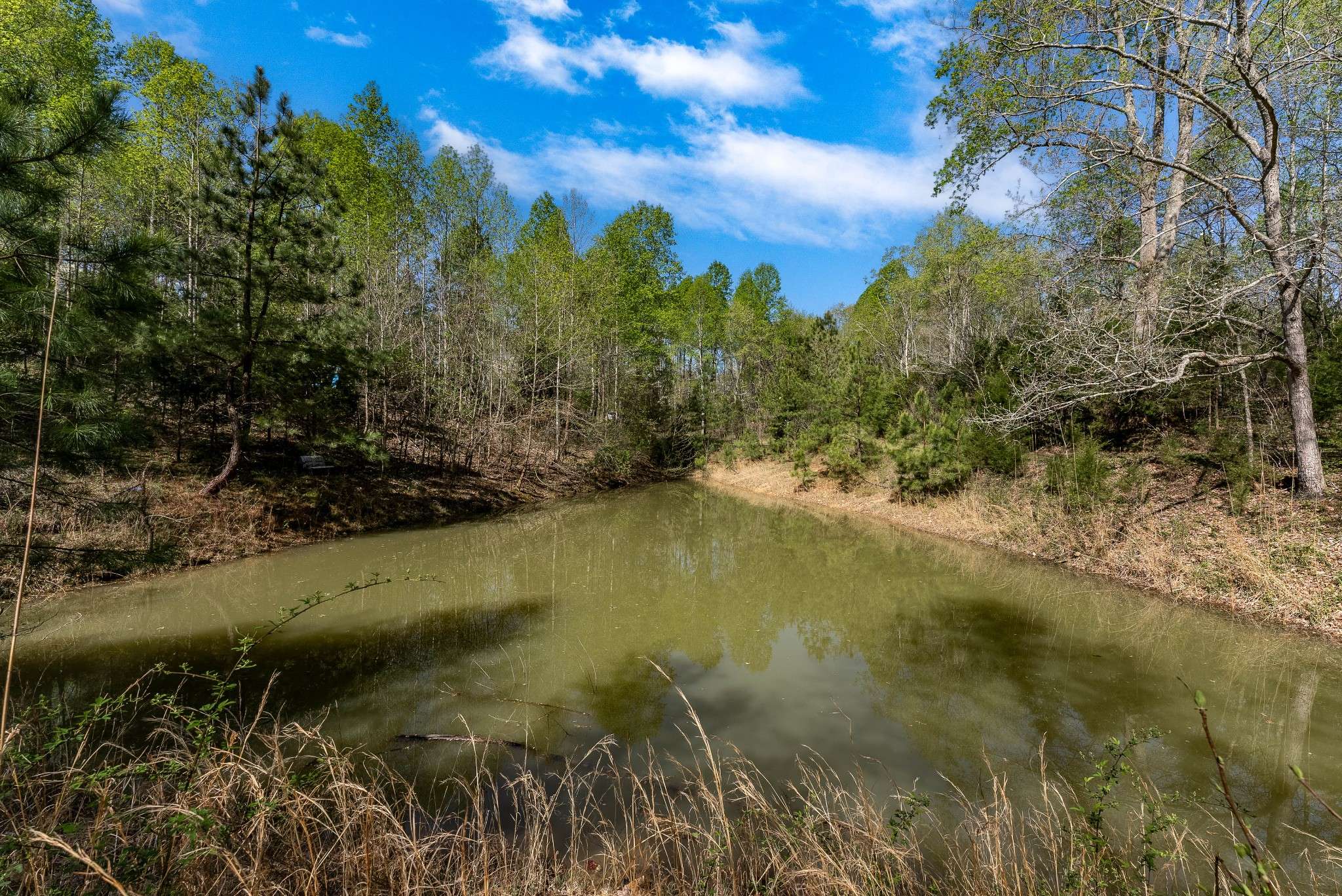 Santa Fe, TN 38482,0 Chestnut Ridge Road