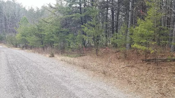 Spencer, TN 38585,151 Indian Trail Drive