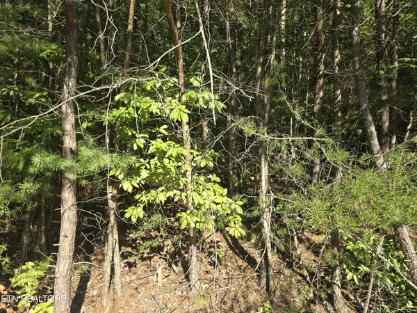 Crossville, TN 38558,29 Byron Lane