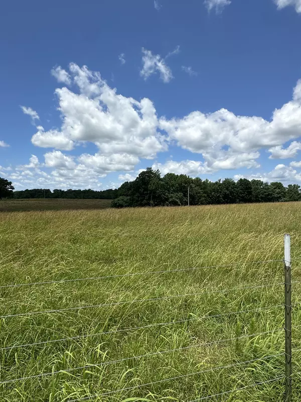 1 Weakley Loop, Ethridge, TN 38456