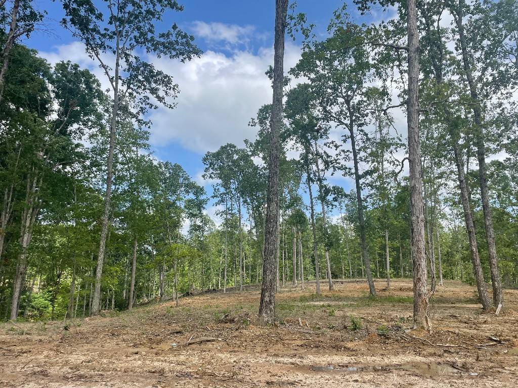 340 Shelton Cemetery Road, Cumberland Furnace, TN 37051