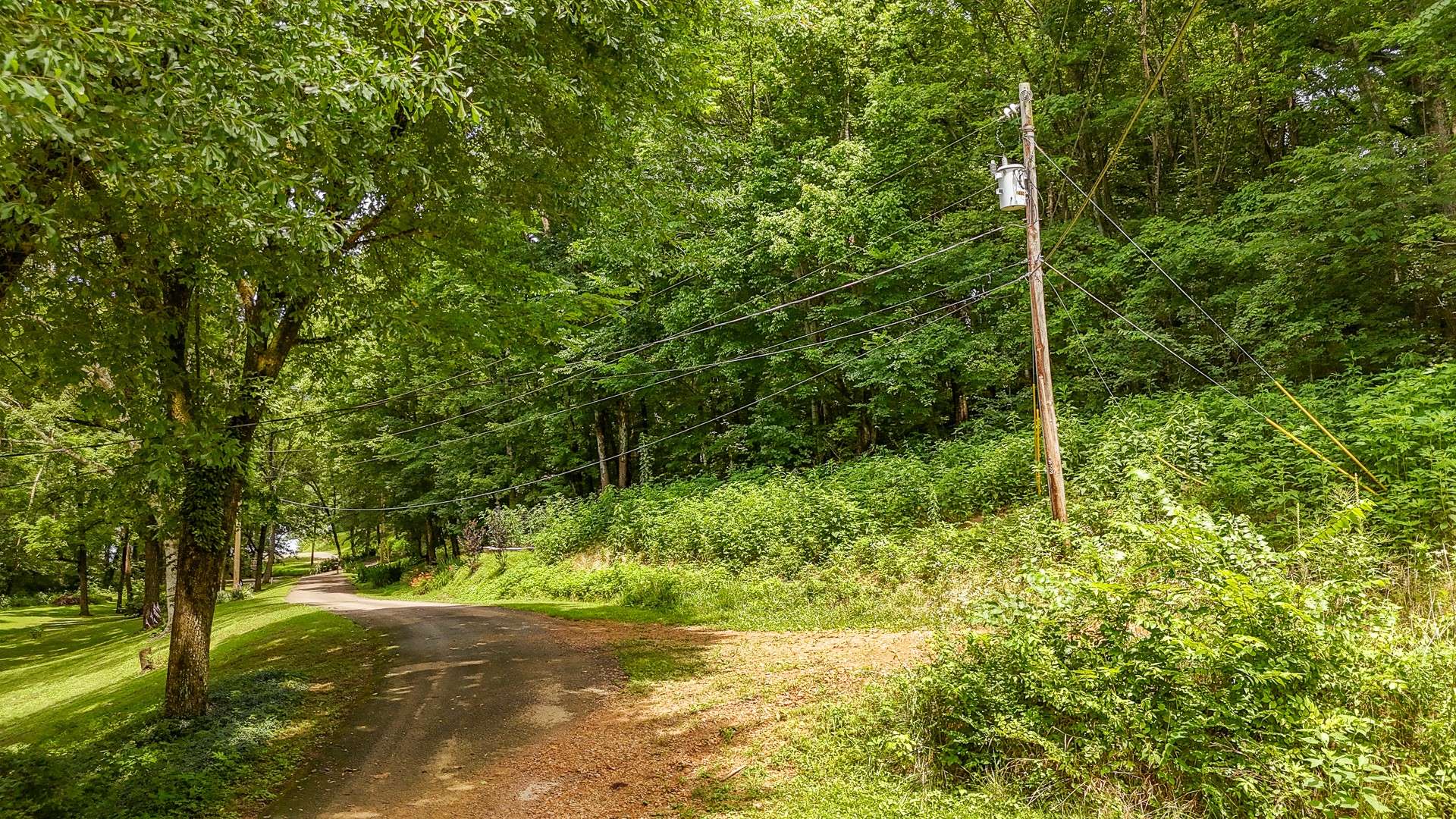 Savannah, TN 38372,0 Salt Ln