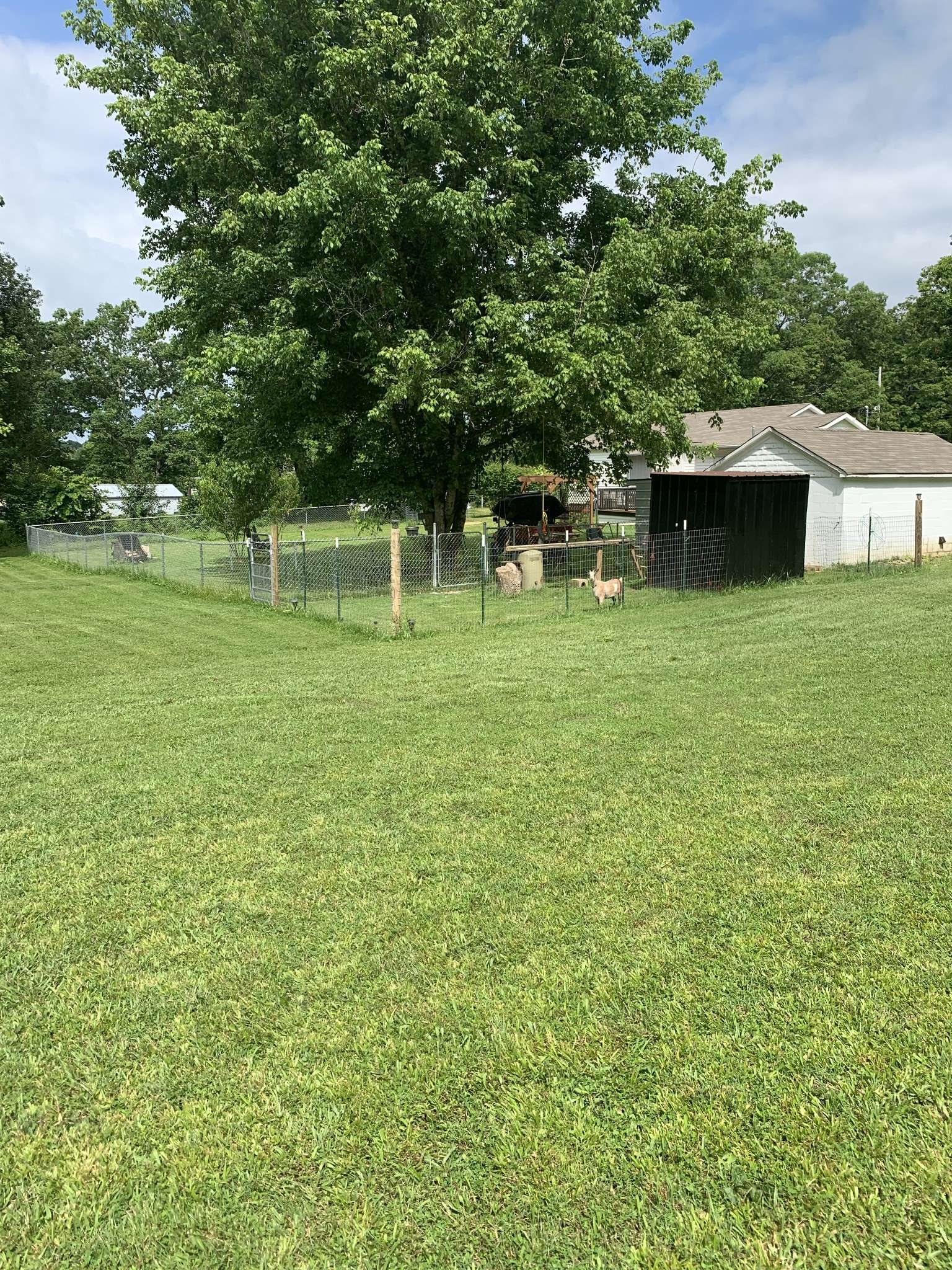 Sparta, TN 38583,9912 Crossville Hwy