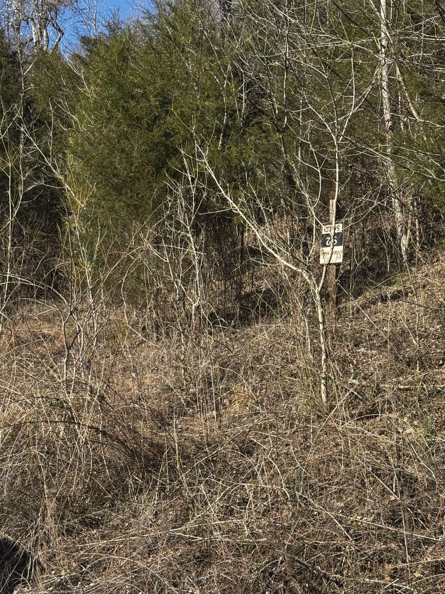92 Shoreside Dr, Smithville, TN 37166