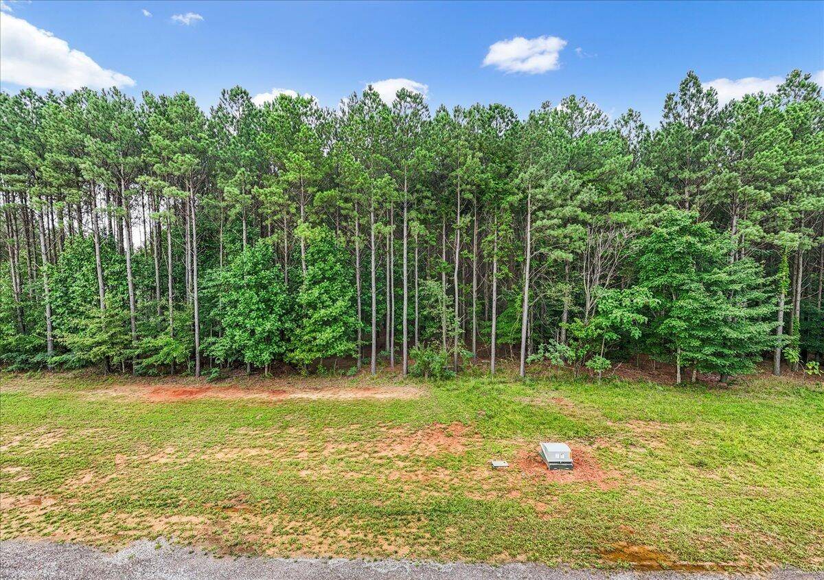 Jasper, TN 37347,0 Crockett Point