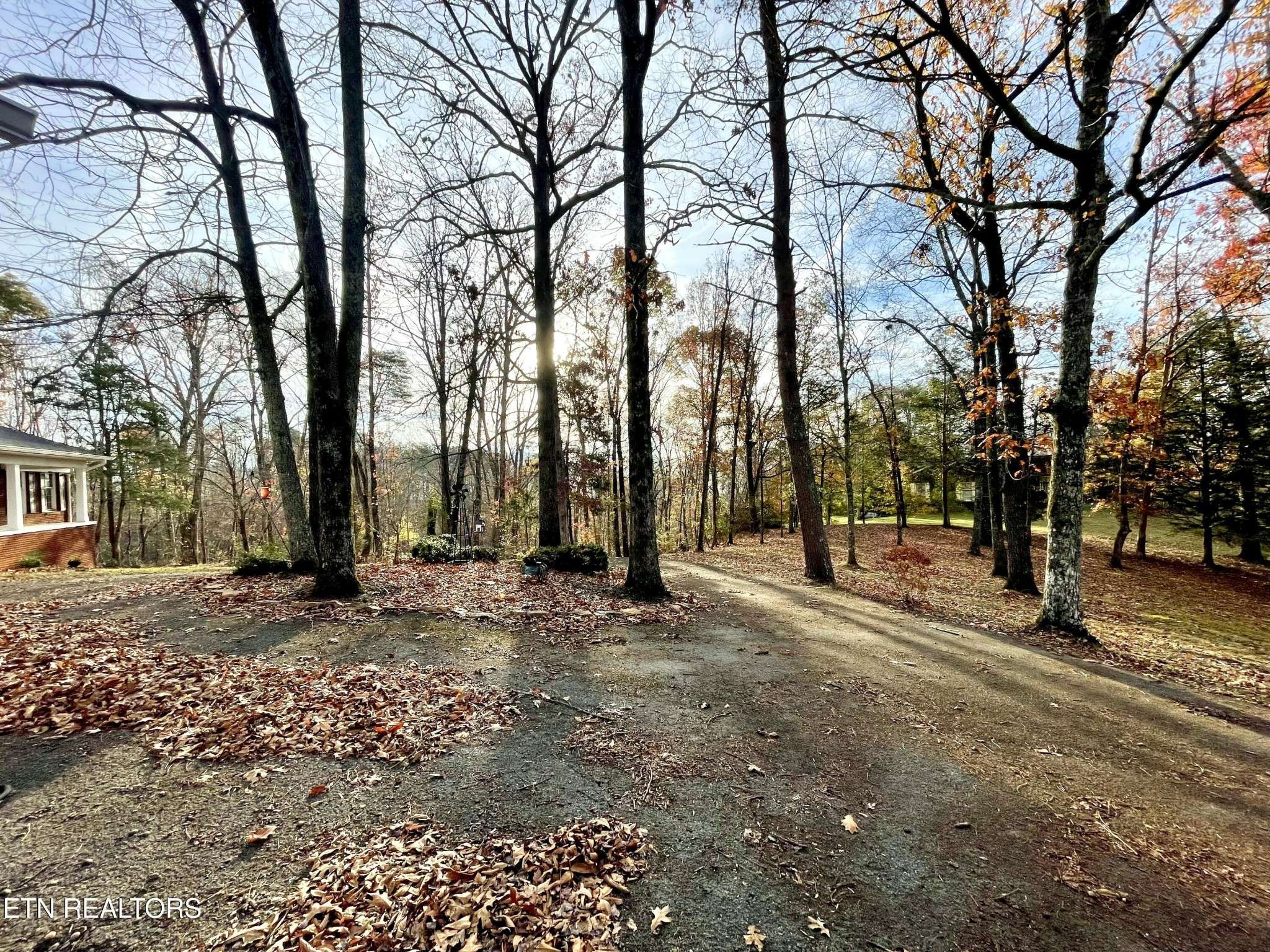Rutledge, TN 37861,340 Mountain View Drive