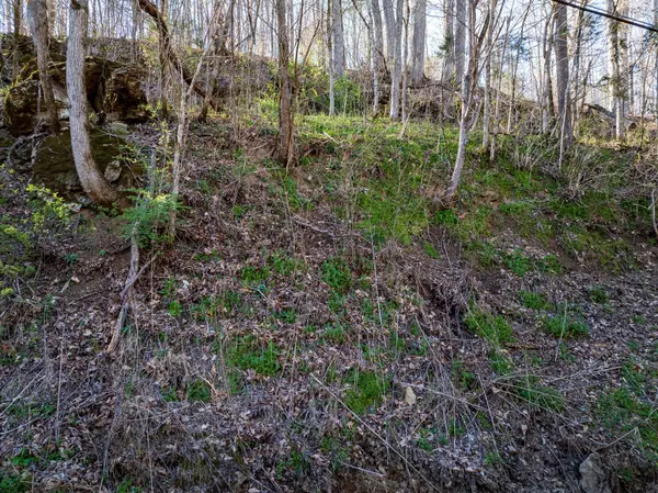 Primm Springs, TN 38476,0 Dog Creek Rd