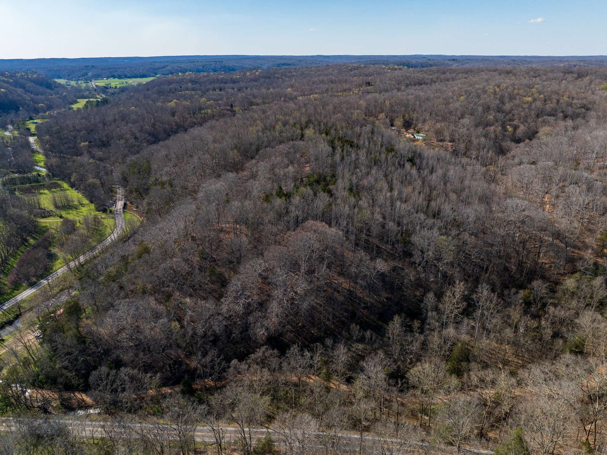 Primm Springs, TN 38476,0 Dog Creek Rd